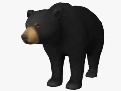Bear Model Low-poly 3D model
