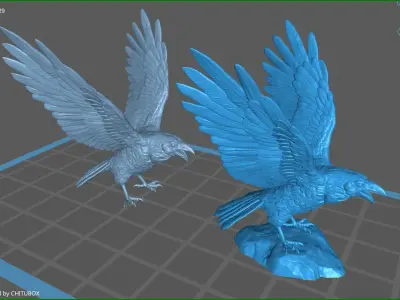 Raven spread its wings 3D print model
