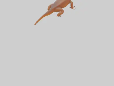 Eastern Newt crawling model Low-poly 3D model