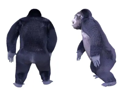 Cartoon Gorilla Animated blender Low-poly 3D model