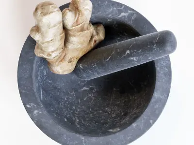 Mortar and Pestle 3D model