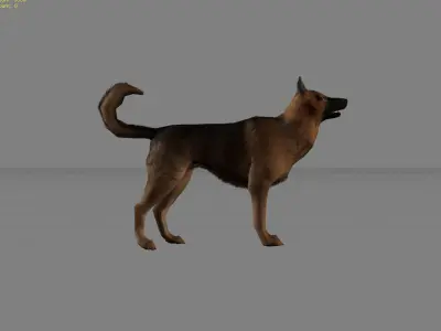 Dog Animal Low-poly 3D model
