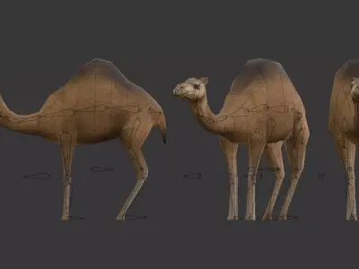 Camel Low-Poly Low-poly 3D model