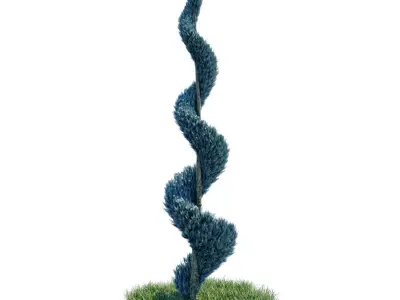 Cypress - Cupressus Arizonica Spiral 3D model