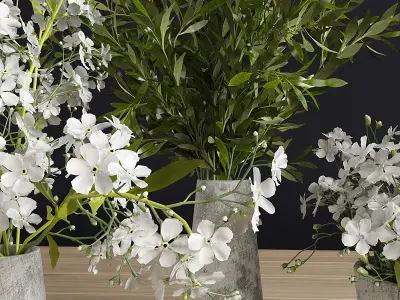 Plants Set three concrete vases with flowers 3D model