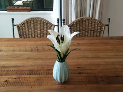 Elegant Vase Mold 3D print model