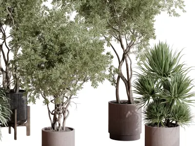 indoor plant set 408 plant tree palm bush concrete dirt vase Low-poly 3D model