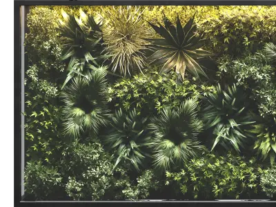  plant stand rock vertical garden wall glass box vase 3D model