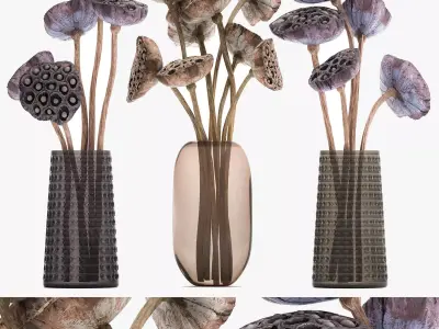 Bouquet of dried flowers lotus in a glass vase 152 3D model