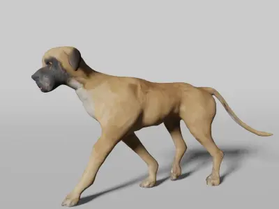 GREAT DANE Low-poly 3D model