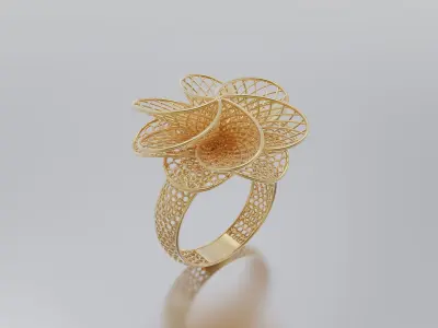 women ring 3D print model buy