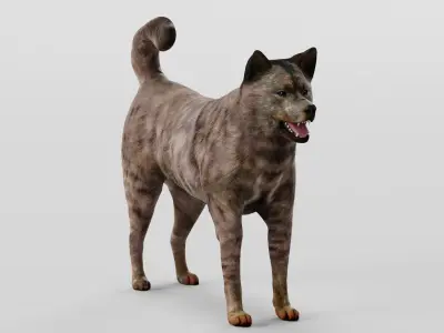 Kai Ken Tora Inu Dog Breed 3D model