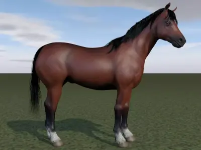 Horse rigging 3D model
