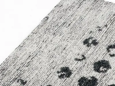 Baxter SCARLET POIS CARPET 3D model