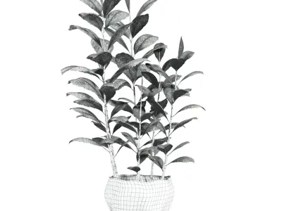 bouquet 3D model