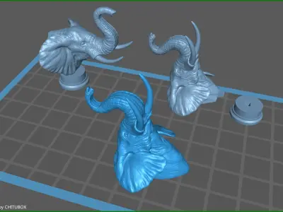 Elephant raised its head 3D print model