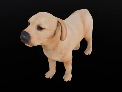 Puppy Animated Rigged  Low-poly 3D model