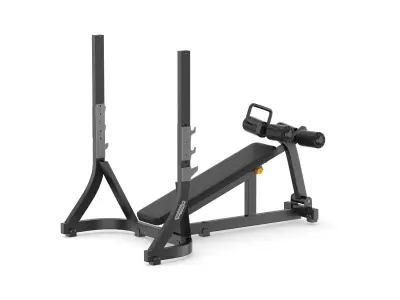 Technogym Pure Olympic Decline Bench 3D model