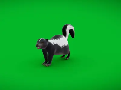 Striped Skunk Low-poly 3D model