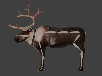 Reindeer Low-poly 3D model