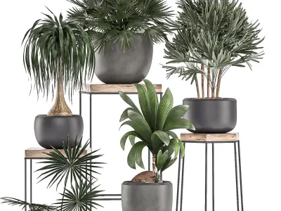 Plants in pots on a stand for the interior 525 3D model