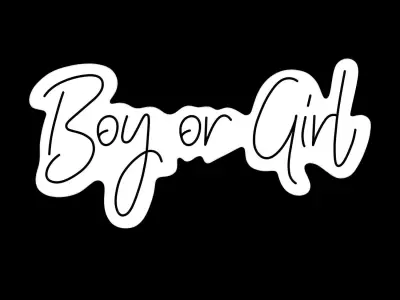 Boy Or Girl Neon Sign 3D model
