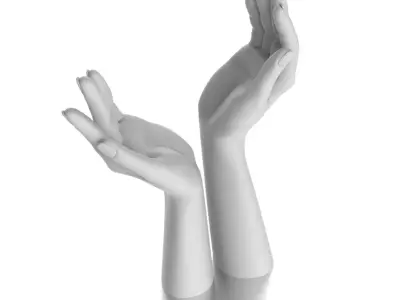 Raised Hands 0185 V1 3dm Stl Mb 3D print model