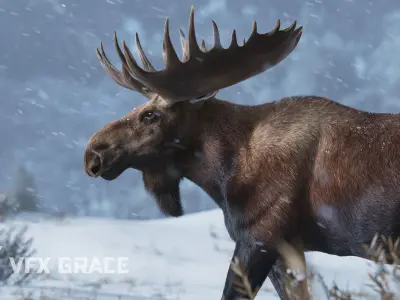 Moose Male UE Character Asset 3D model