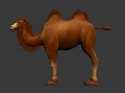 BactrianCamel camel with long hair Low-poly 3D model