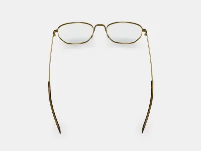 Hale Eyeglasses in Polished Gold 3D model