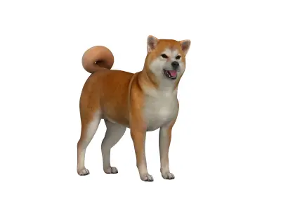Japanese Shiba Inu Dog Low-poly 3D model