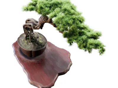 Bonsai 04 - PBR - Midpoly - HQ 3D model