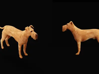 Irish Terrier Dog Low-poly 3D model