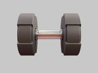  Hammer Strength Rubber Coated Dumbbells 3D model