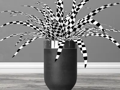 indoor and outdoor spider plant 3D model