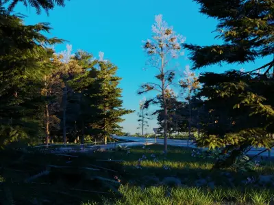 Road in the forest 3D model