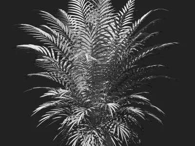 Palm tree in concrete pot 3D model