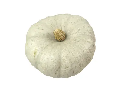 Photorealistic Kabocha Squash 3D Scan 1 3D model