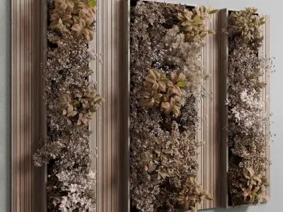 Plants Autumn And Dried Set Partition In Wooden frame 3D model