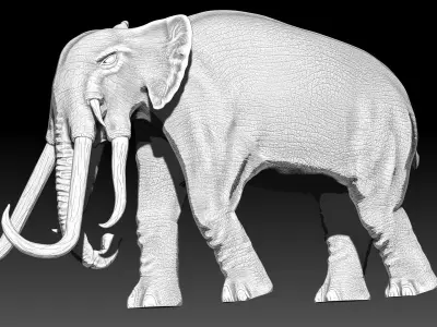 War elephants 3D model