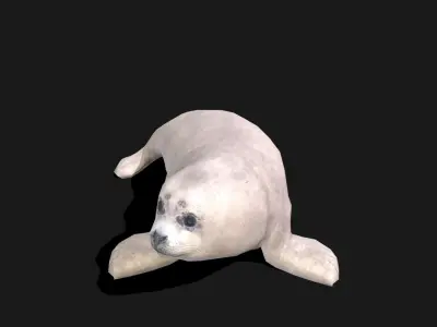 Baby Spotted Seal - Animated Low-poly 3D model