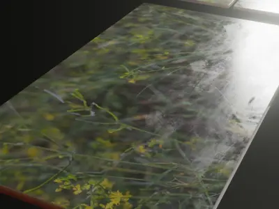 Nature Photo Tiles for modern Kitchens and Bathrooms frames Low-poly 3D model