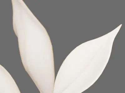 Decor branch Ruscus in a vase Set 61 3D model