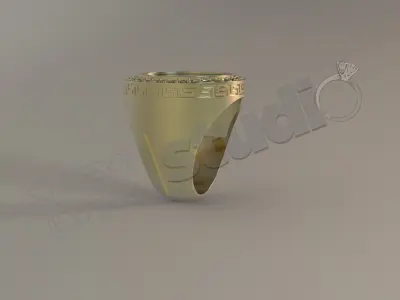 Luxury brilliant sevalie ring for coin case 3d model 3D print model