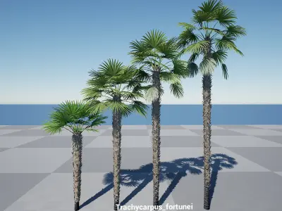 HQ Plants Volume 3 Palms for unreal engine 3D model set of 24 3D model