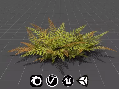 Small Fern - High Quality Low-Poly Models -UE4-Unity-Vray-Corona Low-poly 3D model