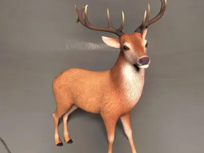 Reindeer or deer 3d model 3D model