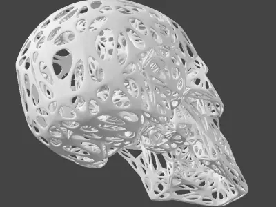 Organic Skull 3D Print model STL Lattice 3D print model