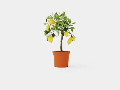 Citrus  Lemon stem Low-poly 3D model
