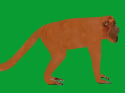 Howler Monkey Low-poly 3D model